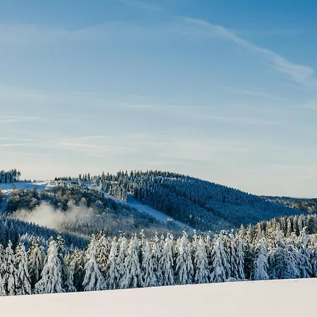 Romantik Astenkrone Otel Winterberg