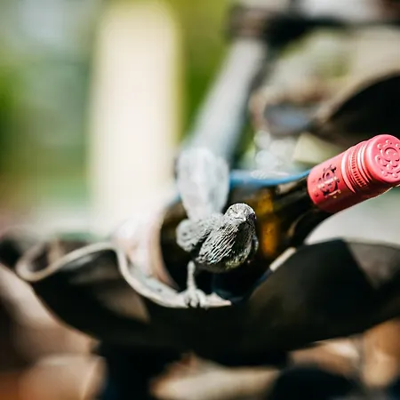 Romantik Astenkrone ווינטרברג