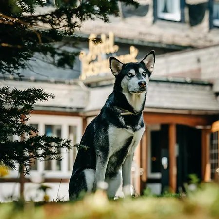 Romantik Astenkrone Winterberg