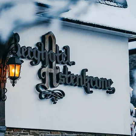 Fletcher Astenkrone-winterberg