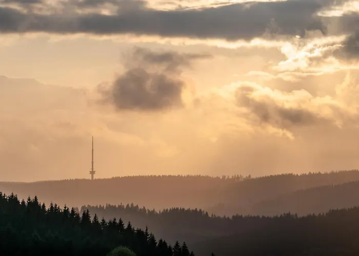 Hotel Romantik Astenkrone 4*